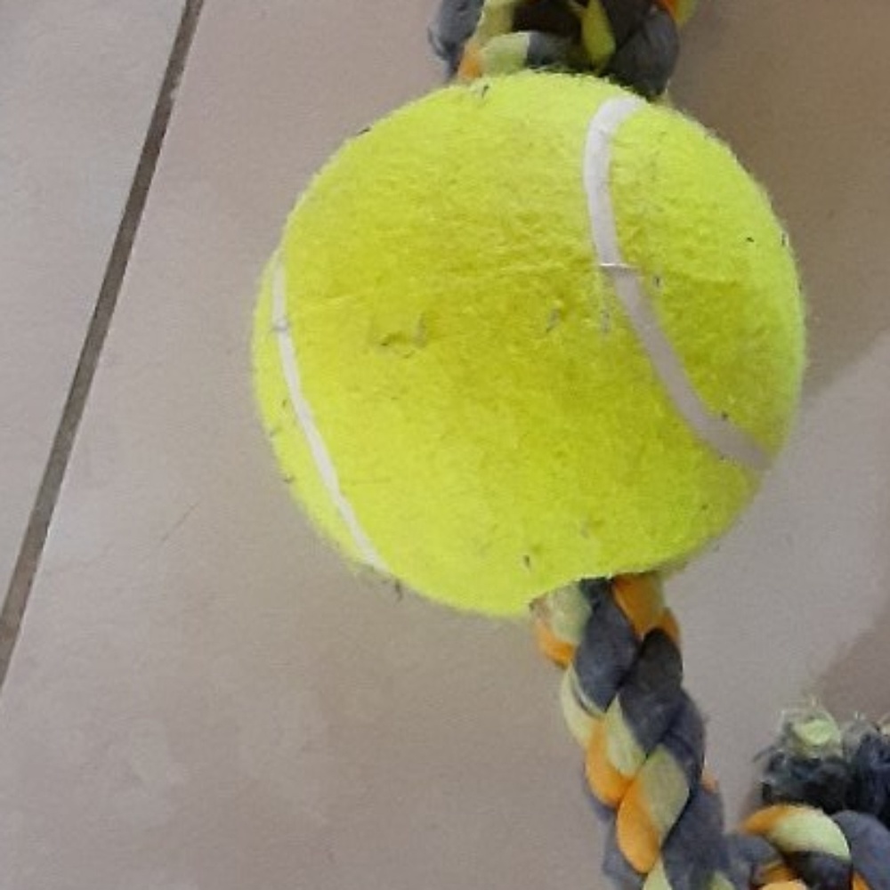 Meet your Posher, Chantal